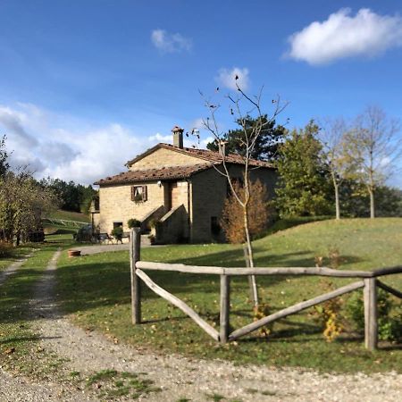 Podere Piallanza Apartment Santa Sofia Exterior photo