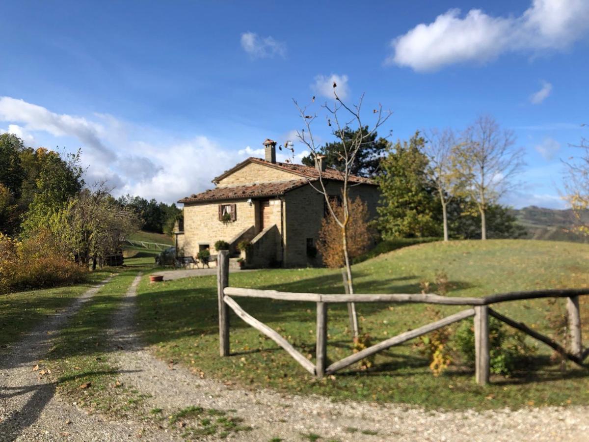 Podere Piallanza Apartment Santa Sofia Exterior photo